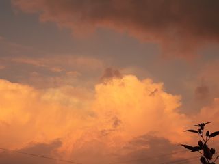 새리님의 자유주제 · 자유게시판 작성글 사진