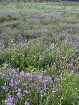 팜모닝 기타작물·자유게시판 게시글 이미지