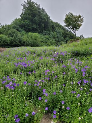 이름유순옥님의 기타작물 · 자유게시판 작성글 사진