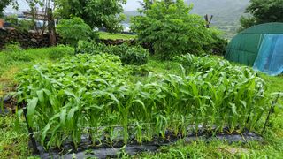 안계님의 자유주제 · 자유게시판 작성글 사진