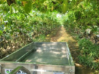 박민수님의 자유주제 · 자유게시판 작성글 사진