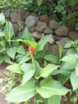 팜모닝 어떤 유기농자재 쓰세요?·참여글 게시글 이미지