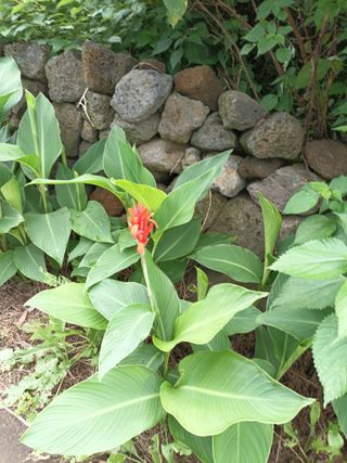 윤창현님의 어떤 유기농자재 쓰세요? · 참여글 작성글 사진