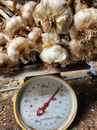 원덕 민병학님의 작성글 사진