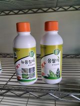 팜모닝 블루베리·자유게시판 게시글 이미지