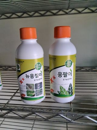 박창호님의 블루베리 · 자유게시판 작성글 사진