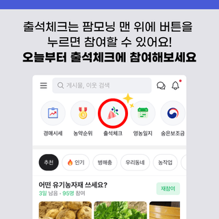 팜모닝님의 팜모닝공식 · 혜택 작성글 사진