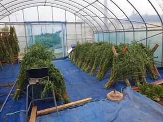 구봉갑산님의 어떤 유기농자재 쓰세요? · 참여글 작성글 사진