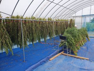 구봉갑산님의 어떤 유기농자재 쓰세요? · 참여글 작성글 사진