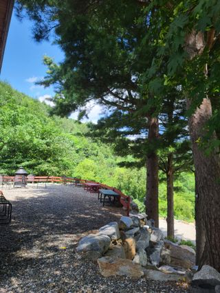 홍천산채농원 조원영님의 자유주제 · 자유게시판 작성글 사진