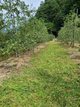 팜모닝 자유주제·자유게시판 게시글 이미지