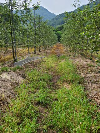 장광열님의 자유주제 · 자유게시판 작성글 사진