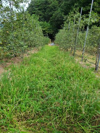 장광열님의 자유주제 · 자유게시판 작성글 사진
