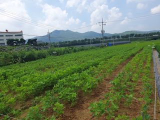 구봉갑산님의 어떤 유기농자재 쓰세요? · 참여글 작성글 사진