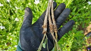 조병대님의 기타작물 · 자유게시판 작성글 사진