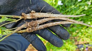 조병대님의 기타작물 · 자유게시판 작성글 사진