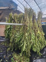 팜모닝 벼·영농일지 게시글 이미지