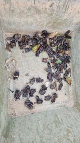 팜모닝 자유주제·자유게시판 게시글 이미지