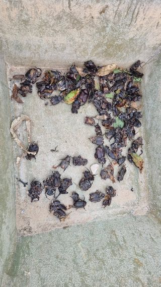 김민철 님의 자유주제 · 자유게시판 작성글 사진