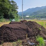 팜모닝 자유주제·자유게시판 게시글 이미지