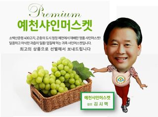 김시택샤인머스켓님의 포도 · 자유게시판 작성글 사진