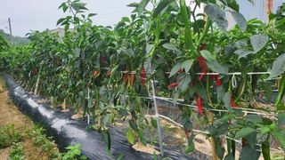 박현주님의 작성글 사진