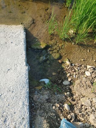 윤재하님의 벼 · 자유게시판 작성글 사진