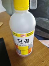 팜모닝 들깨·자유게시판 게시글 이미지