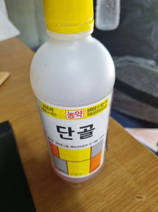 호미대장님의 들깨 · 자유게시판 작성글 사진