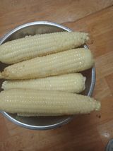 팜모닝 옥수수·자유게시판 게시글 이미지