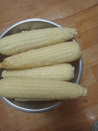 농사정보배우고싶어요님의 옥수수 · 자유게시판 작성글 사진