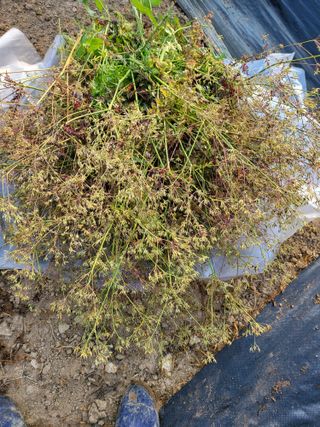 논산상월안정환님의 자유주제 · 자유게시판 작성글 사진