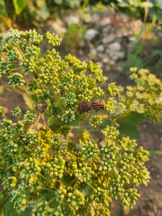 논산상월안정환님의 자유주제 · 자유게시판 작성글 사진