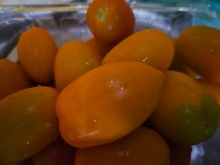 헤라네(김정현)님의 어떤 유기농자재 쓰세요? · 참여글 작성글 사진