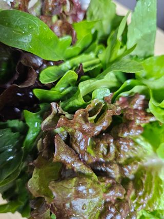 헤라네(김정현)님의 어떤 유기농자재 쓰세요? · 참여글 작성글 사진