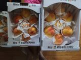 팜모닝 복숭아·영농일지 게시글 이미지