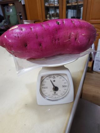 휘성님의 어떤 유기농자재 쓰세요? · 참여글 작성글 사진