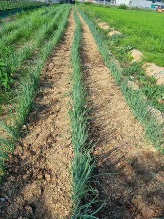 이명숙님의 기타작물 · 자유게시판 작성글 사진