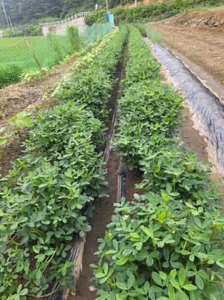 동해리님의 기타작물 · 자유게시판 작성글 사진