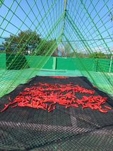 팜모닝 고추·일상 게시글 이미지