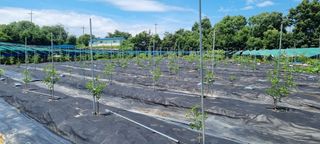 초월농원님의 자유주제 · 자유게시판 작성글 사진