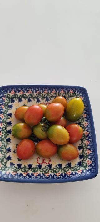 초월농원님의 자유주제 · 자유게시판 작성글 사진