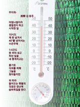 팜모닝 자유주제·자유게시판 게시글 이미지