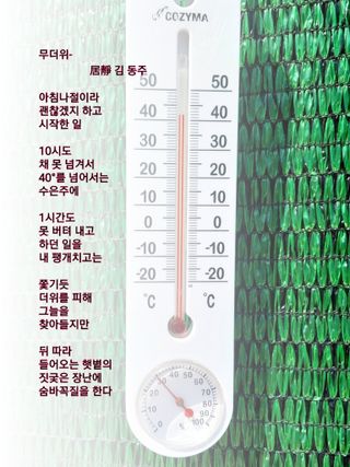 김동주님의 자유주제 · 자유게시판 작성글 사진