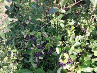 철남 김희곤님의 기타작물 · 자유게시판 작성글 사진