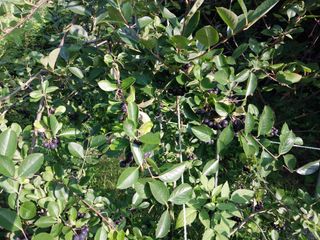 철남 김희곤님의 기타작물 · 자유게시판 작성글 사진