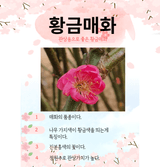 팜모닝 · 게시글 이미지