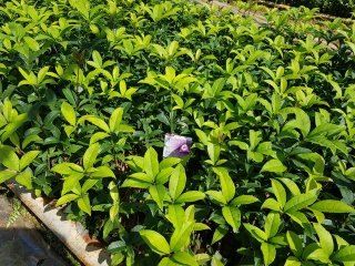 양복연님의 작성글 사진