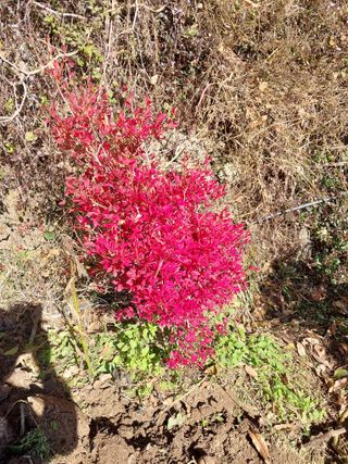 양복연님의 작성글 사진