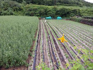 5월출석왕이레요님의 자유주제 · 자유게시판 작성글 사진